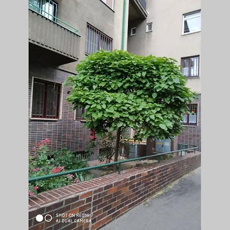 A Cosy Studio In The City Centre Братислава Екстериор снимка