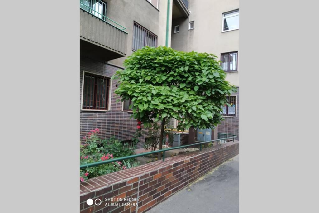 A Cosy Studio In The City Centre Братислава Екстериор снимка